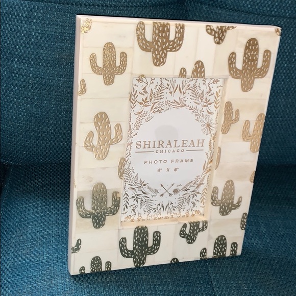 Shiraleah Chicago Frame Cactus Wanderer ! - Picture 4 of 4